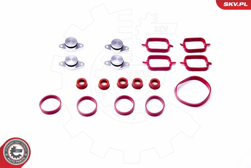 Gasket Set, intake manifold